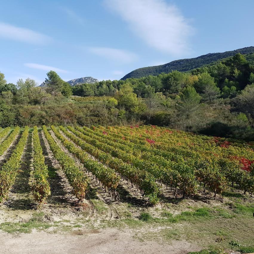 Les Tuileries De Lencieux Leilighet Gigondas Eksteriør bilde